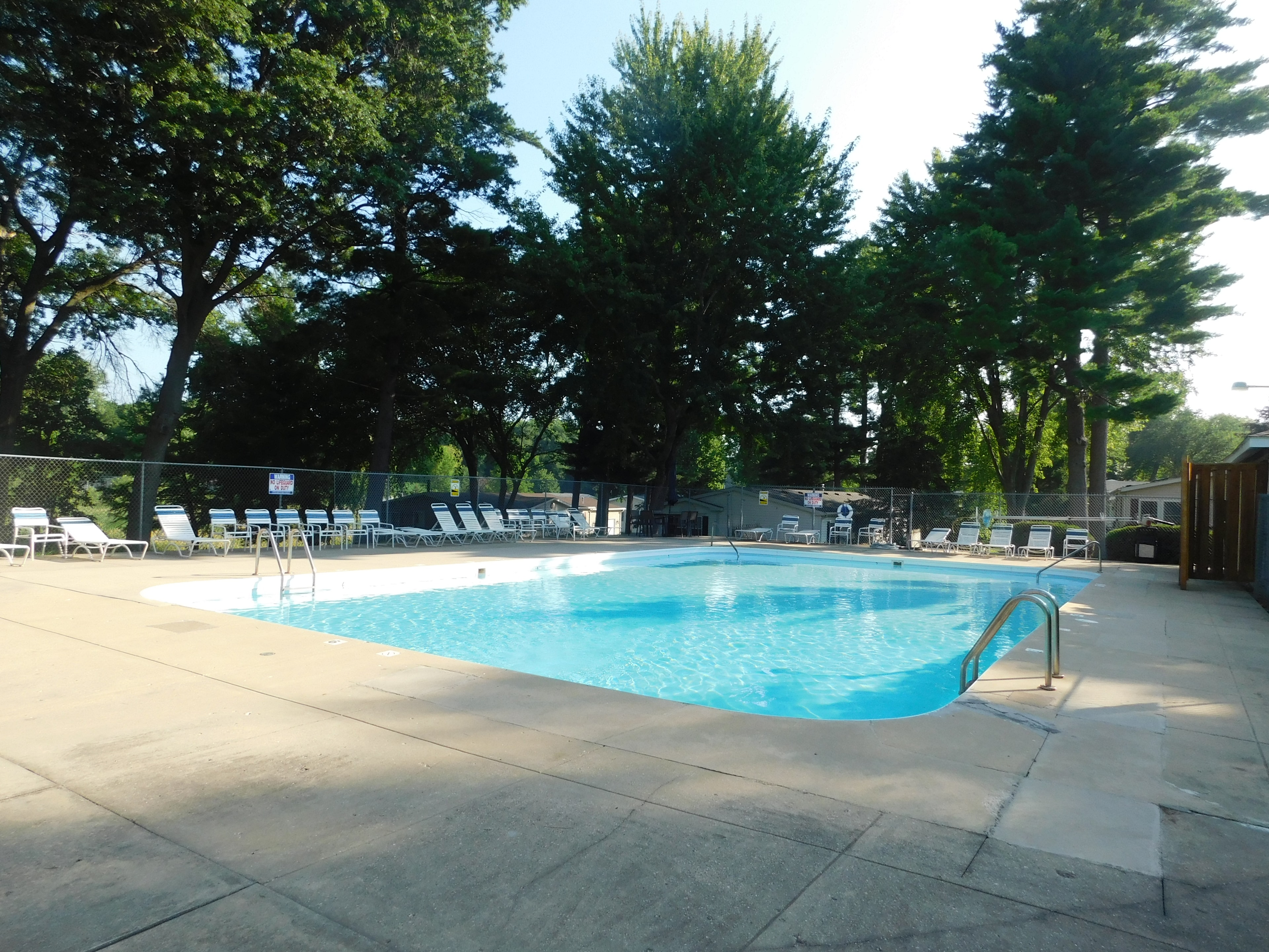 Community swimming pool with lounge chairs and trees at Knollwood Estates
